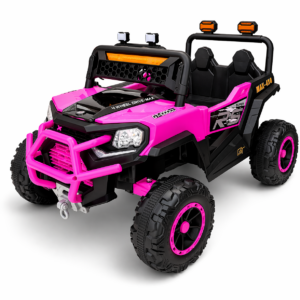 MINI POLARIS